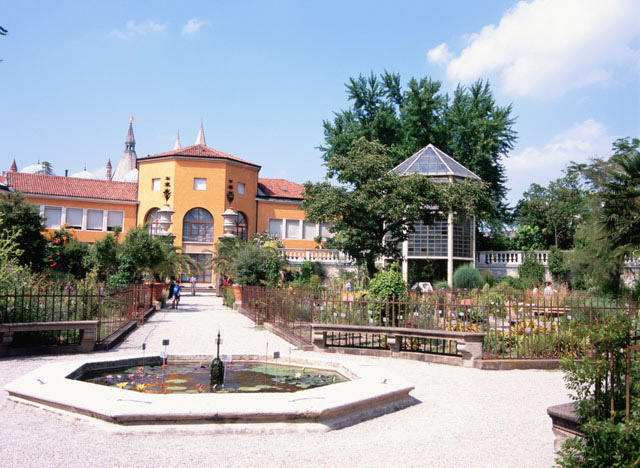 パドヴァの植物園（パドバ）